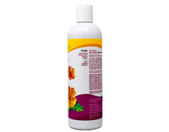 Espuma rica del Champú Plumeria Replenishing de Alba Botanica para cabello limpio