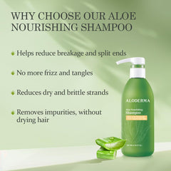 Aloderma champú aloe nutritivo, ingredientes orgánicos para cabello suave.