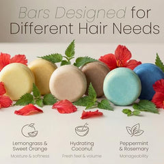 Champú sólido Aspen Kay Naturals coco argán, etiqueta con ingredientes orgánicos