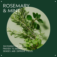 Aveda Rosemary Mint Weightless Conditioner para cabello normal o graso