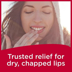 Envase de Carmex bálsamo labial clásico medicado en paquete, ideal para colección