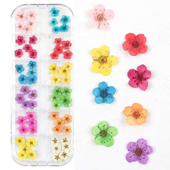 CHANGAR Gypsophila seca, enfoque delicado, acentos elegantes para manualidades
