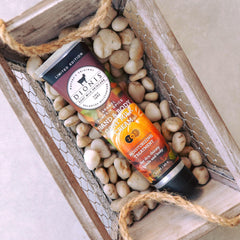 Aroma Dionis Caramel Pumpkin Spice para una experiencia reconfortante diaria