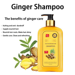 Ginaday champú jengibre, ingredientes naturales para nutrir el cuero cabelludo.