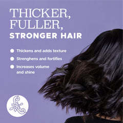 L LUSETA Champú sin sulfatos y sin parabenos para todo tipo de cabello