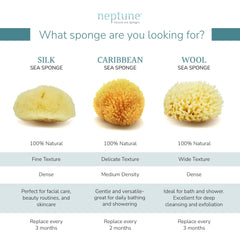 Esponja Neptune Caribe mar, suave, apta para piel sensible.