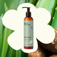 Plant Therapy ingredientes: aloe vera y manteca de karité para hidratación