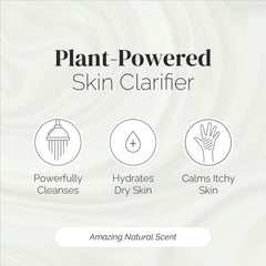 Puriya árbol de té, aroma de menta natural para despertar los sentidos.