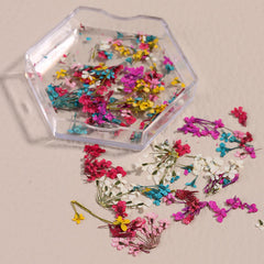 SILPECWEE: flores secas naturales en colores variados para embellecer uñas.