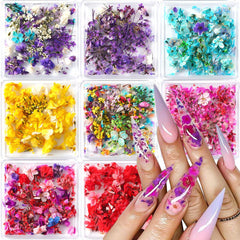 SUTOZMIWE flores secas para uñas en cajas, diseño vibrante y versátil.