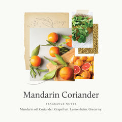 Thymes fragancia cítrica de mandarina y cilantro para revitalizar