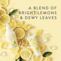 Thymes Jabon Mano Recambio Fragancia Citrica: aroma revitalizante para manos limpias