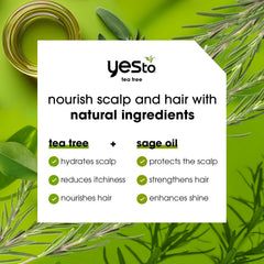 Yes To Shampoo Árbol del Té y Salvia con etiqueta natural destacada