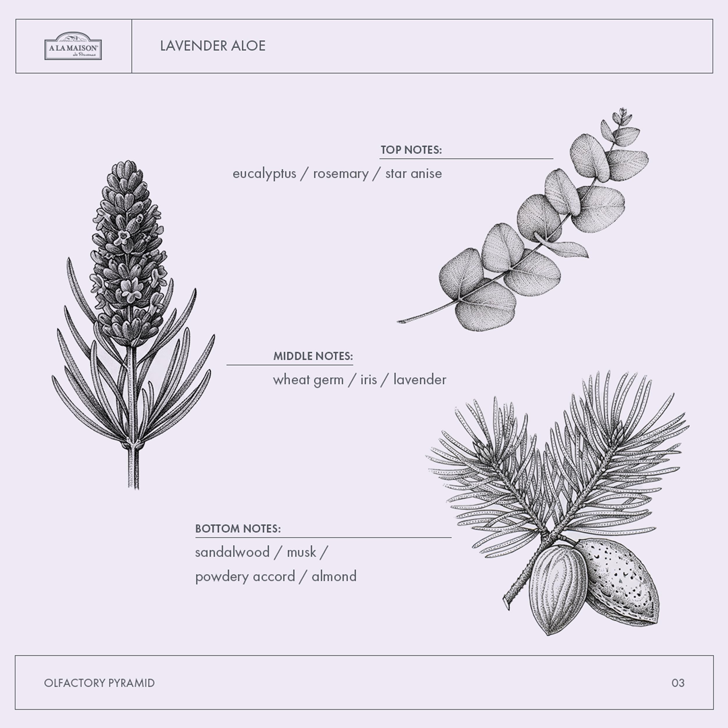 A LA MAISON gel de ducha Lavanda Aloe con aroma floral para momentos relajantes.