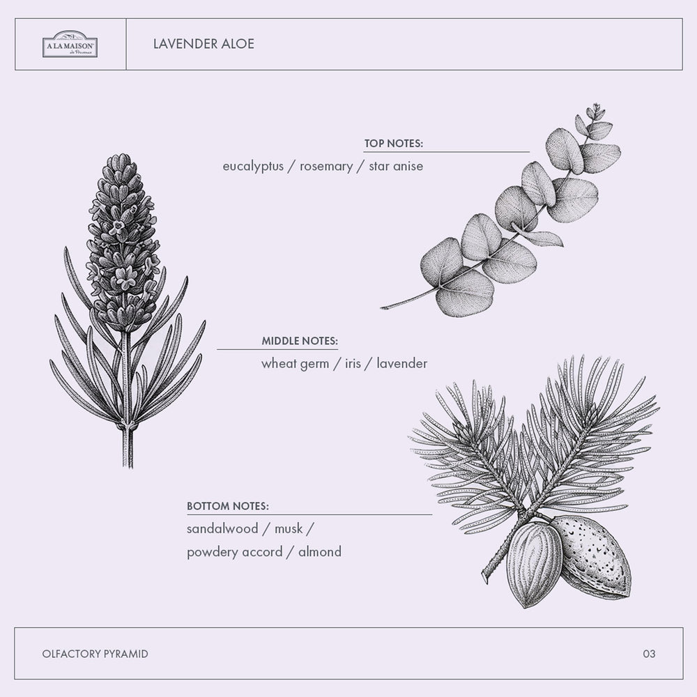 A LA MAISON gel de ducha Lavanda Aloe con aroma floral para momentos relajantes.