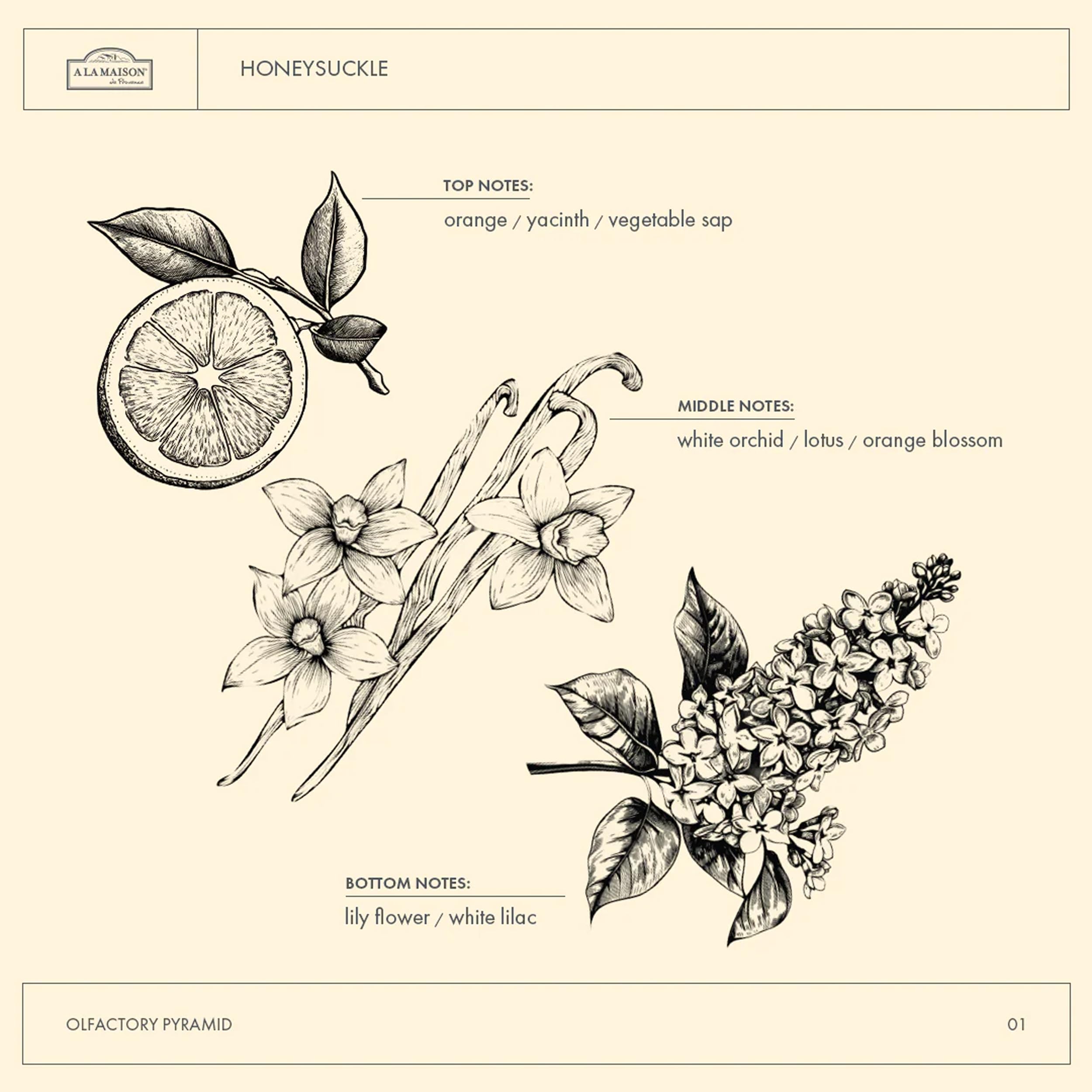 Ingredientes vegetales de A LA MAISON para piel suave.