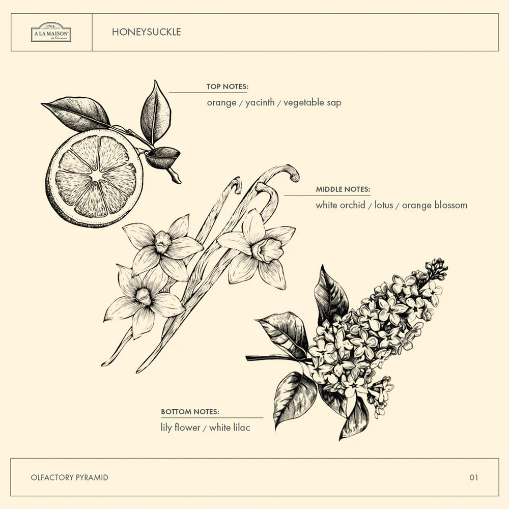 Ingredientes vegetales de A LA MAISON para piel suave.