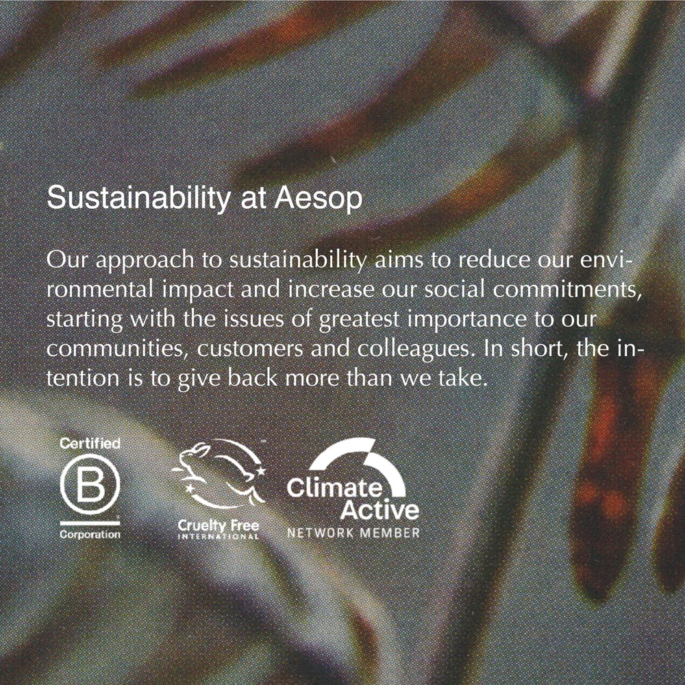 Aesop Redemption, modo de uso visible para una exfoliación eficaz.