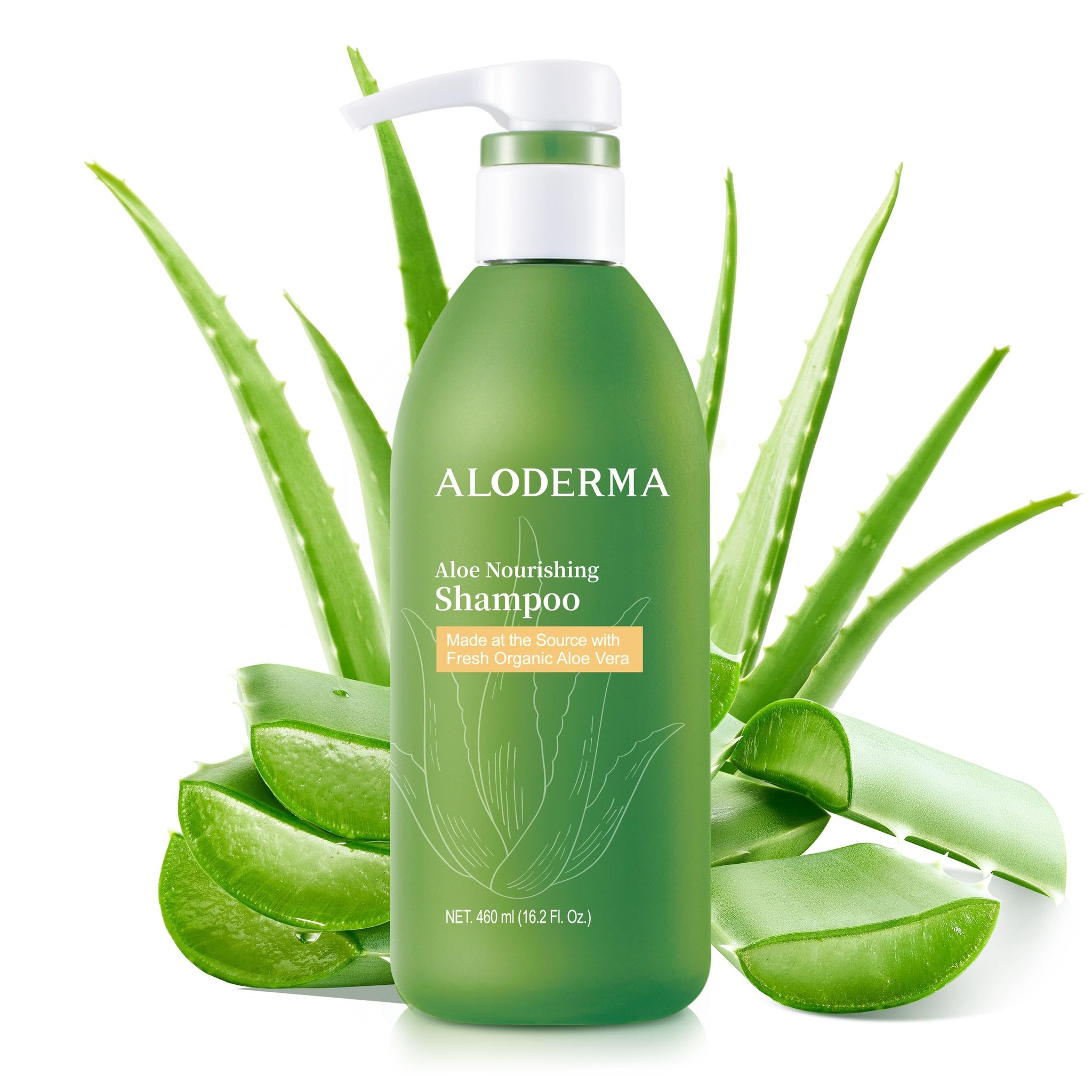 Aloderma champú aloe nutritivo, botella de 16 onzas, hidrata cabello seco.