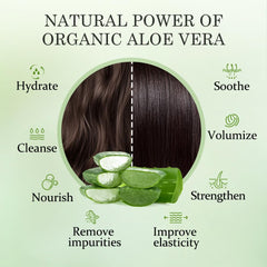 Aloderma champú aloe nutritivo, espuma suave para limpieza delicada.