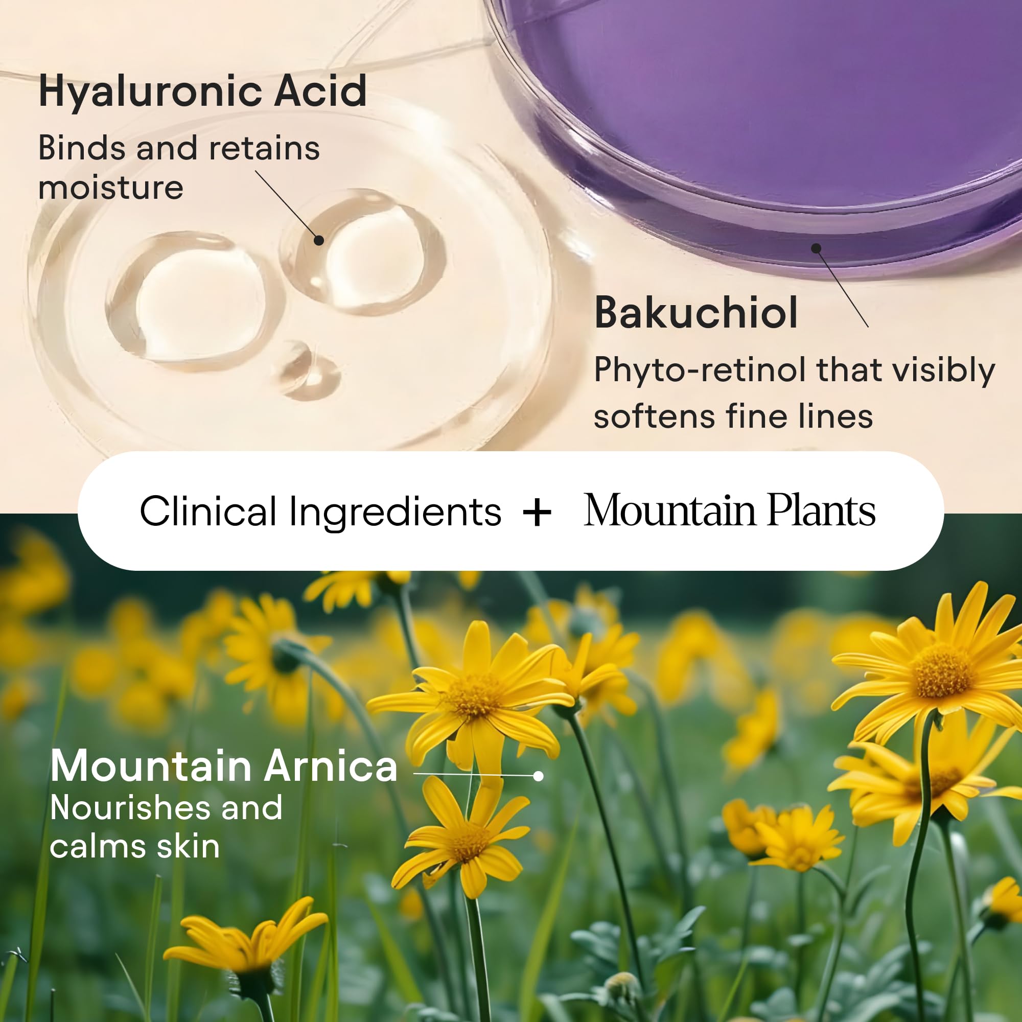 ALPYN Melt Moisturizer con arnica de montaña para nutrir y calmar la piel.