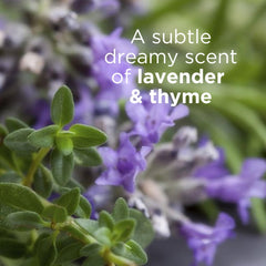 Ingredientes orgánicos de Andalou Naturals Lavender Thyme, aptos para piel sensible