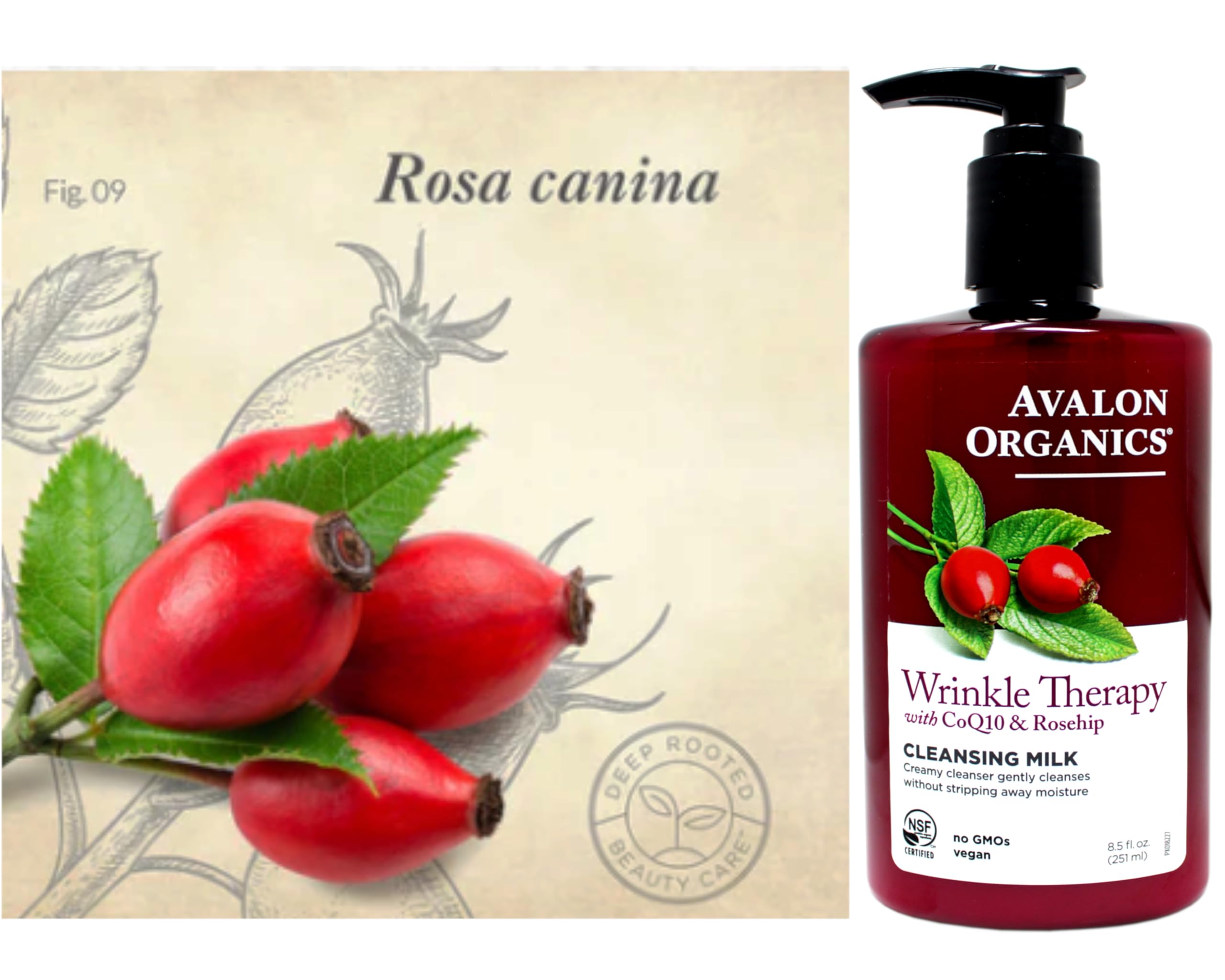 Avalon Organics Aplicación en la Mano: se extiende fácilmente para rostro limpio.