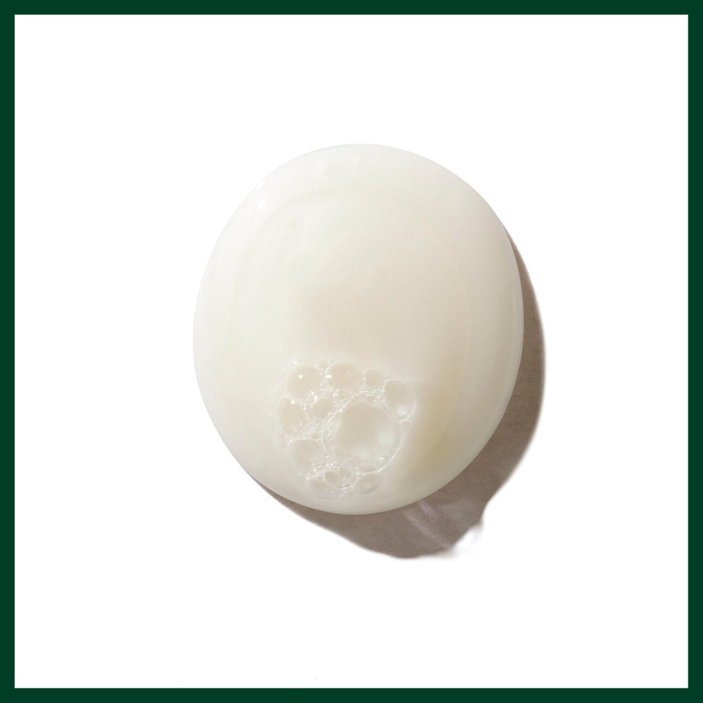 Aveda Be Curly Advanced Champú protege frente a la humedad y reduce frizz