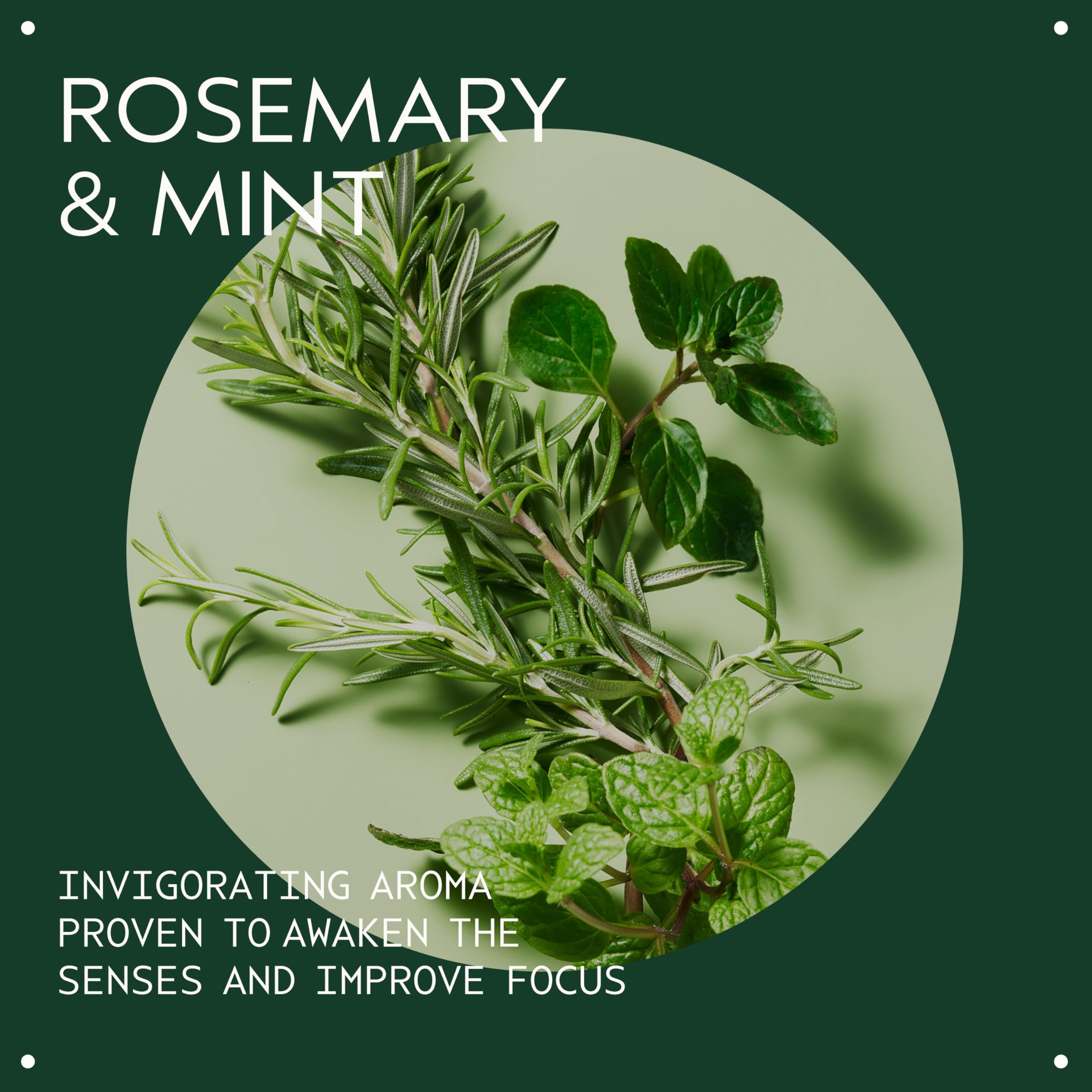 Aveda Rosemary Mint Weightless Conditioner para cabello normal o graso