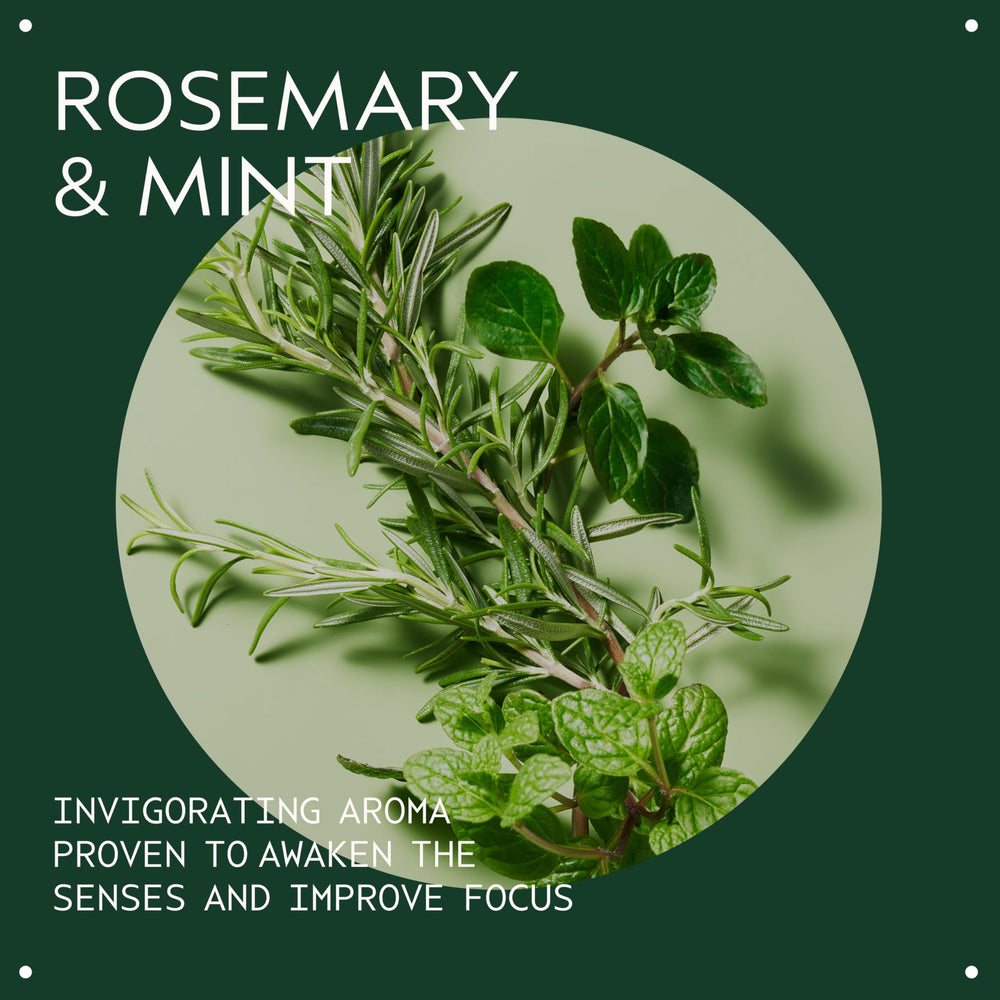 Aveda Rosemary Mint Weightless Conditioner para cabello normal o graso