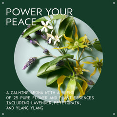 Aveda Shampure aroma de lavanda y ylang ylang, perfil calmante
