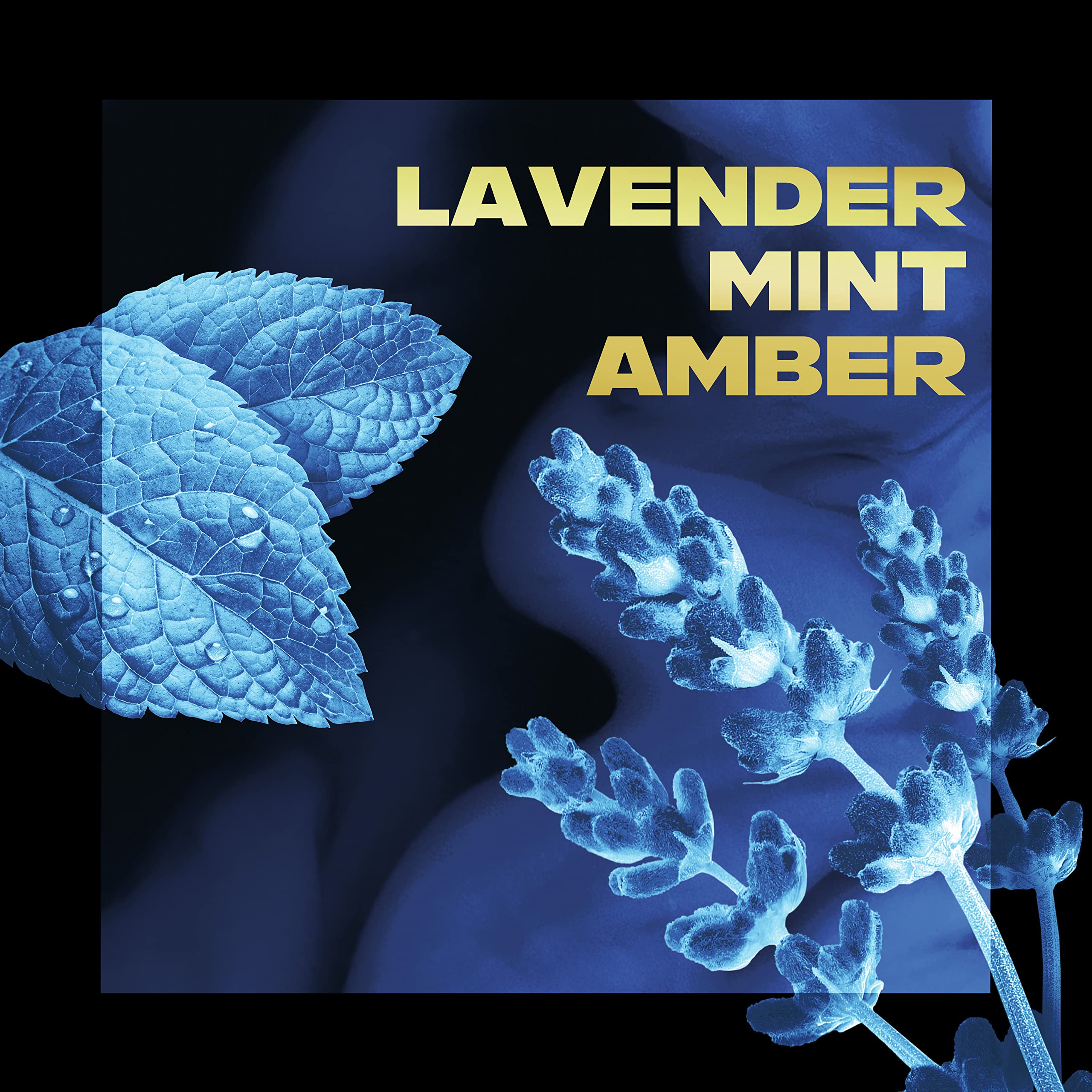 Notas olfativas: lavanda, menta y ámbar para una fragancia suave y revitalizante.