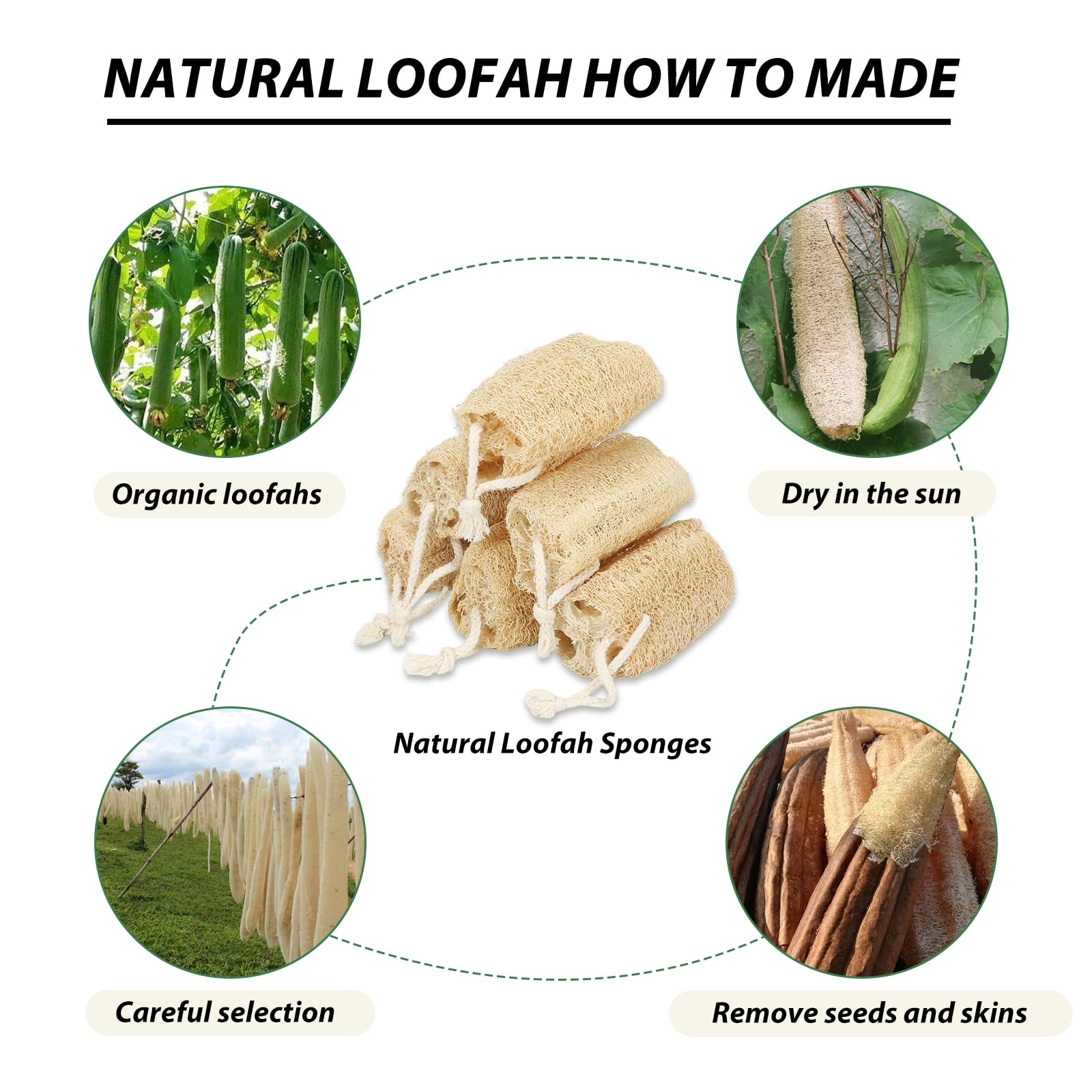 Balifeel Regalo Ideal: esponja lufa natural para casa y cuidado personal.
