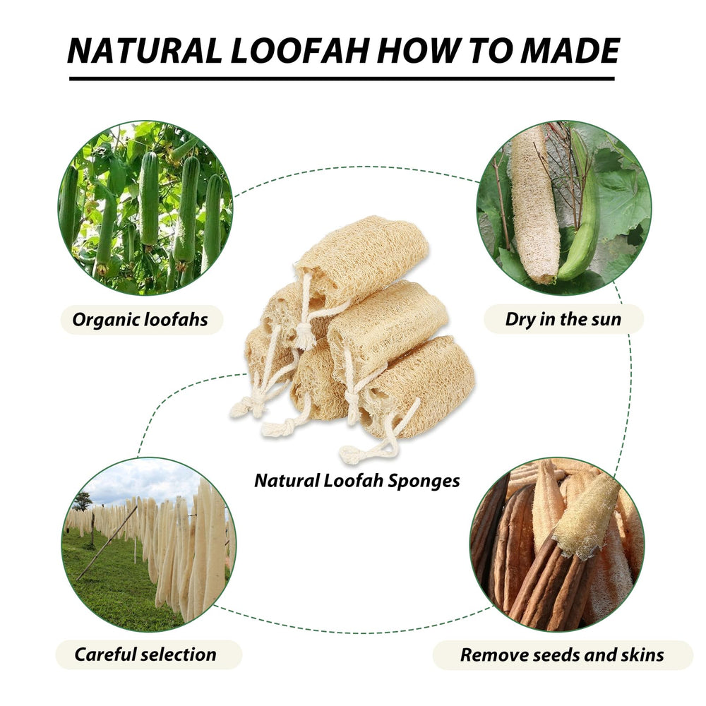 Balifeel Regalo Ideal: esponja lufa natural para casa y cuidado personal.