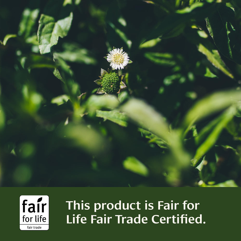 Banyan Botanicals: manejo del estrés favorece crecimiento capilar