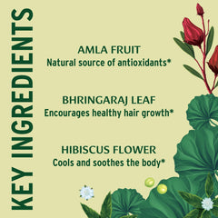 Banyan Botanicals: salud del cuero cabelludo y cabello equilibrado