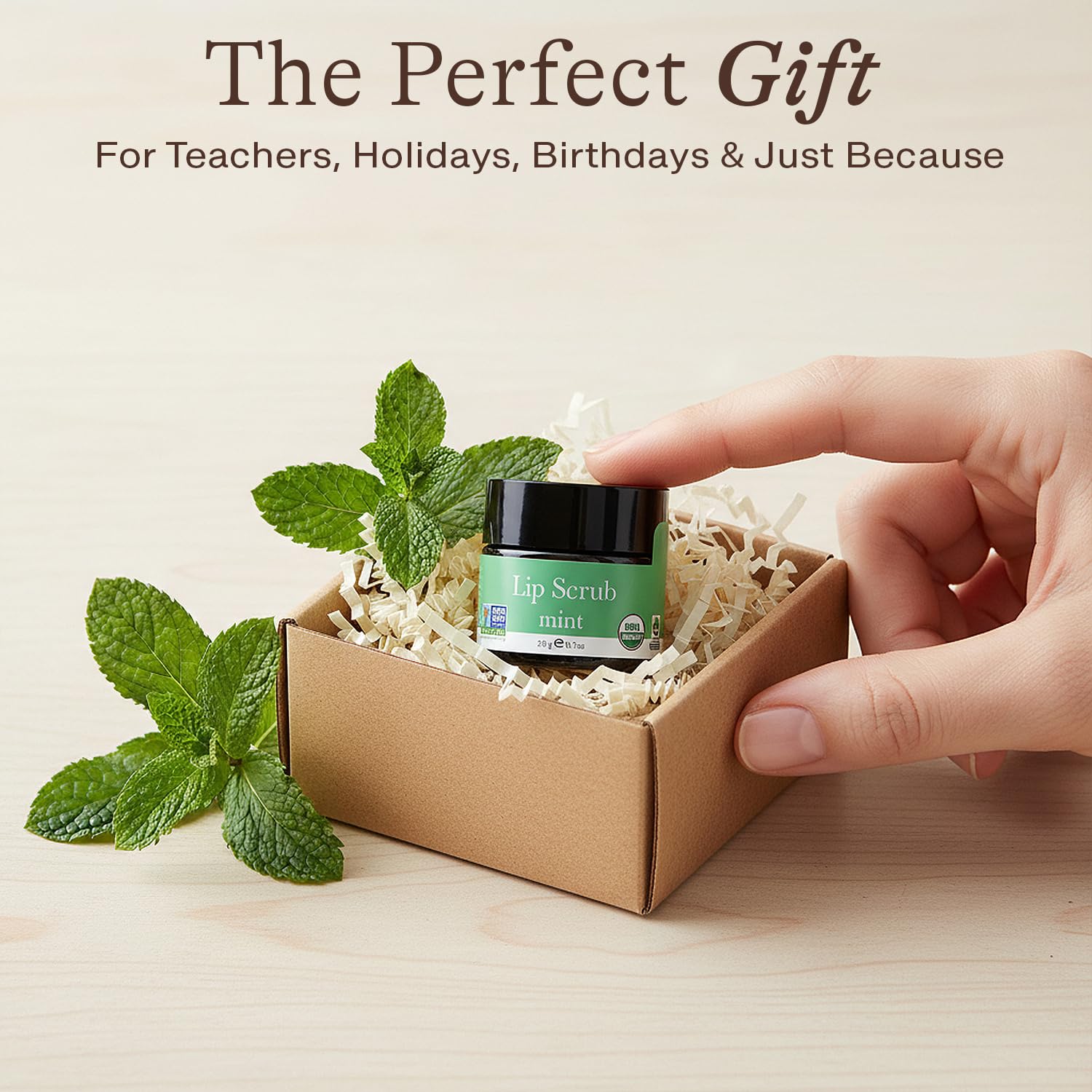 Regalo de cuidado de labios Beauty by Earth con menta