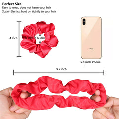 BeeVines Scrunchies: bolsa de almacenamiento transparente para organizar tu colección.