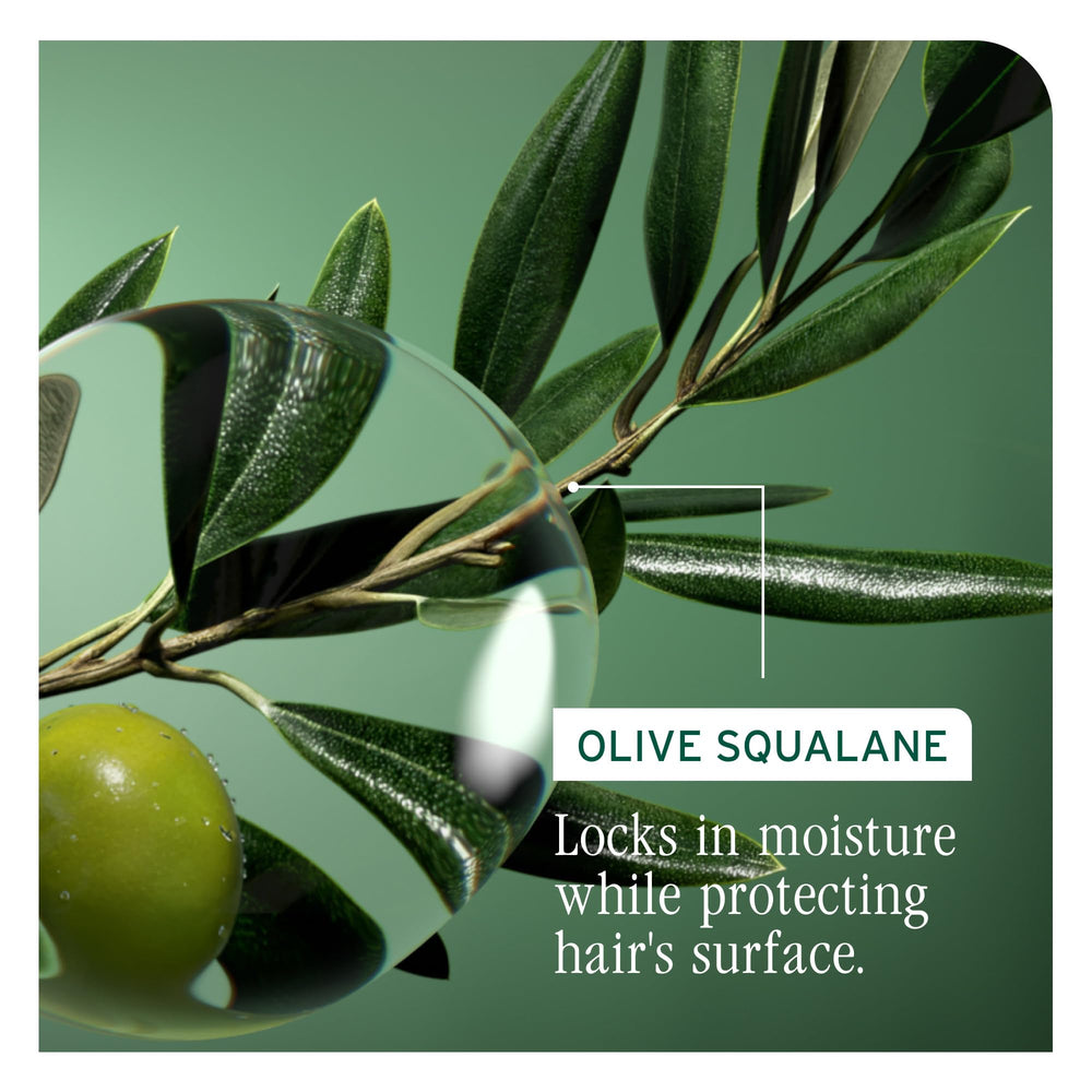 Biolage Champú Recuperación y Fortalecimiento, aceite de oliva para nutrición.