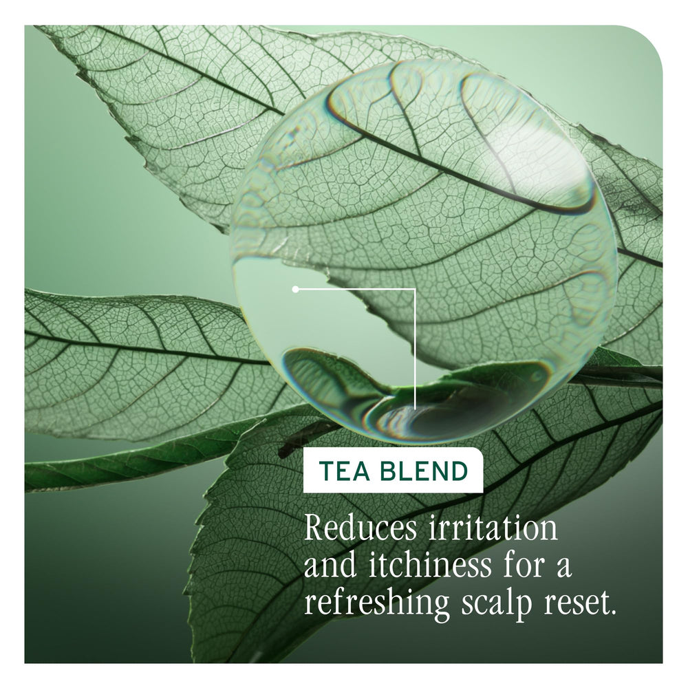 Biolage champú con té fermentado ofrece sensación de frescura.