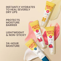 Burt's Bees bálsamo labial con cera de abejas nutre labios
