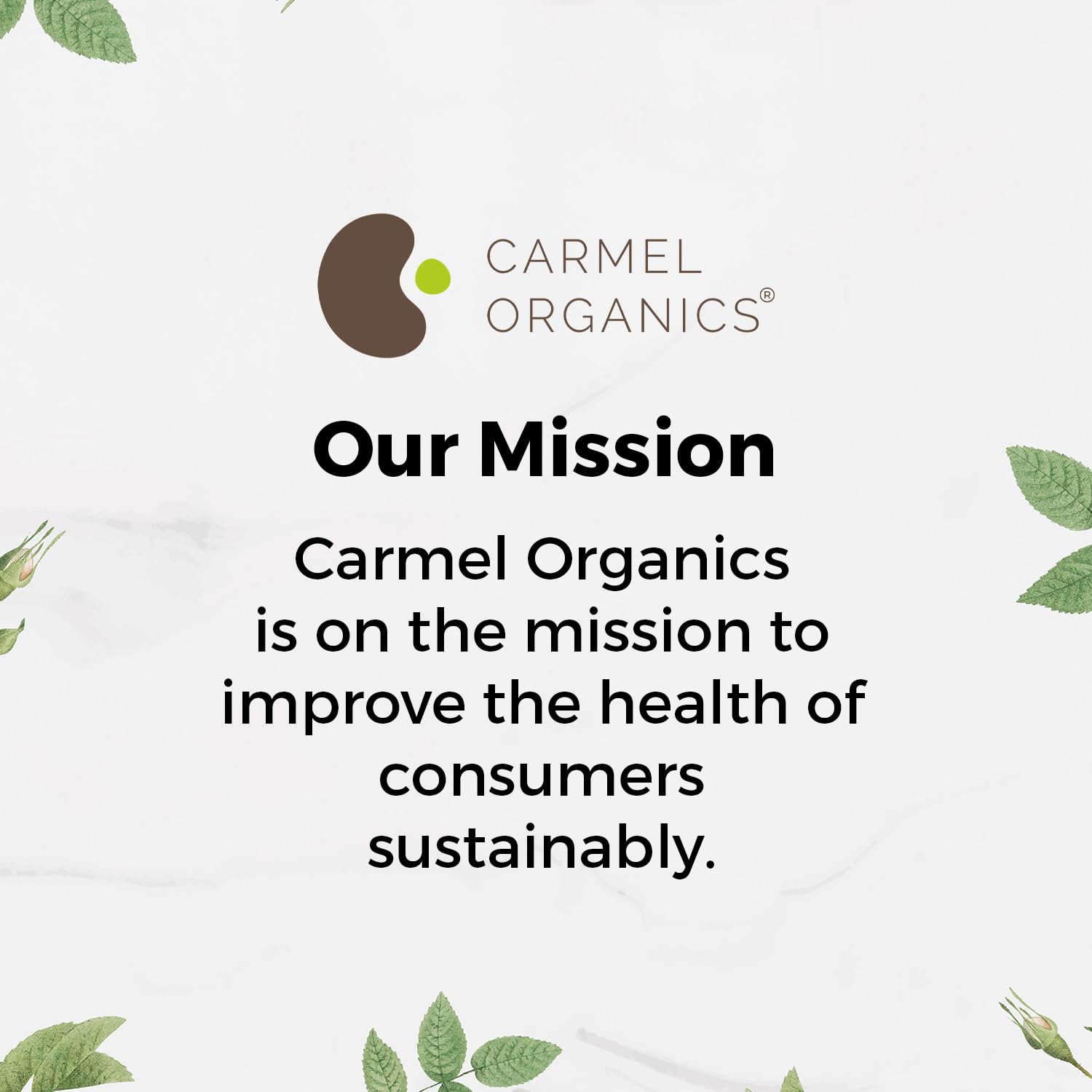Carmel Organics polvo Soapnut rutina diaria, opción natural para cabello limpio