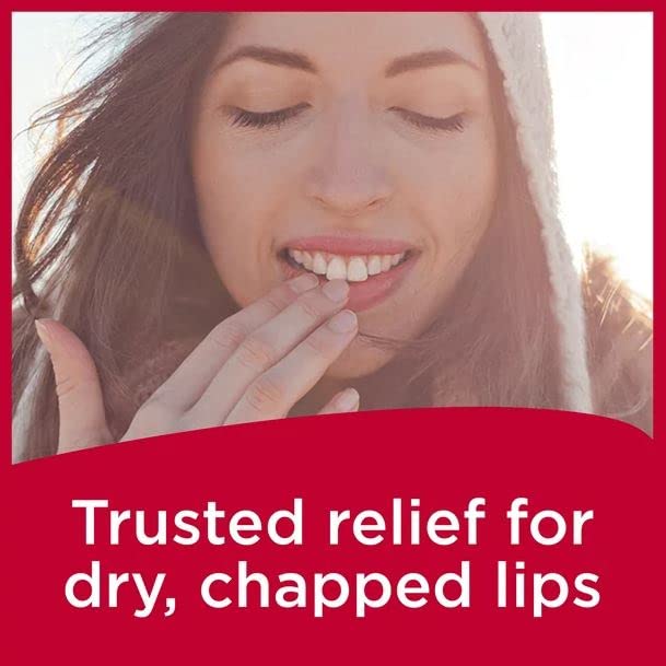 Envase de Carmex bálsamo labial clásico medicado en paquete, ideal para colección