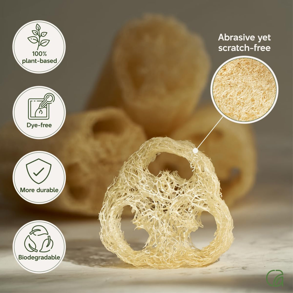 Chill Ah esponja lufa biodegradable, opción ecológica para la rutina diaria.