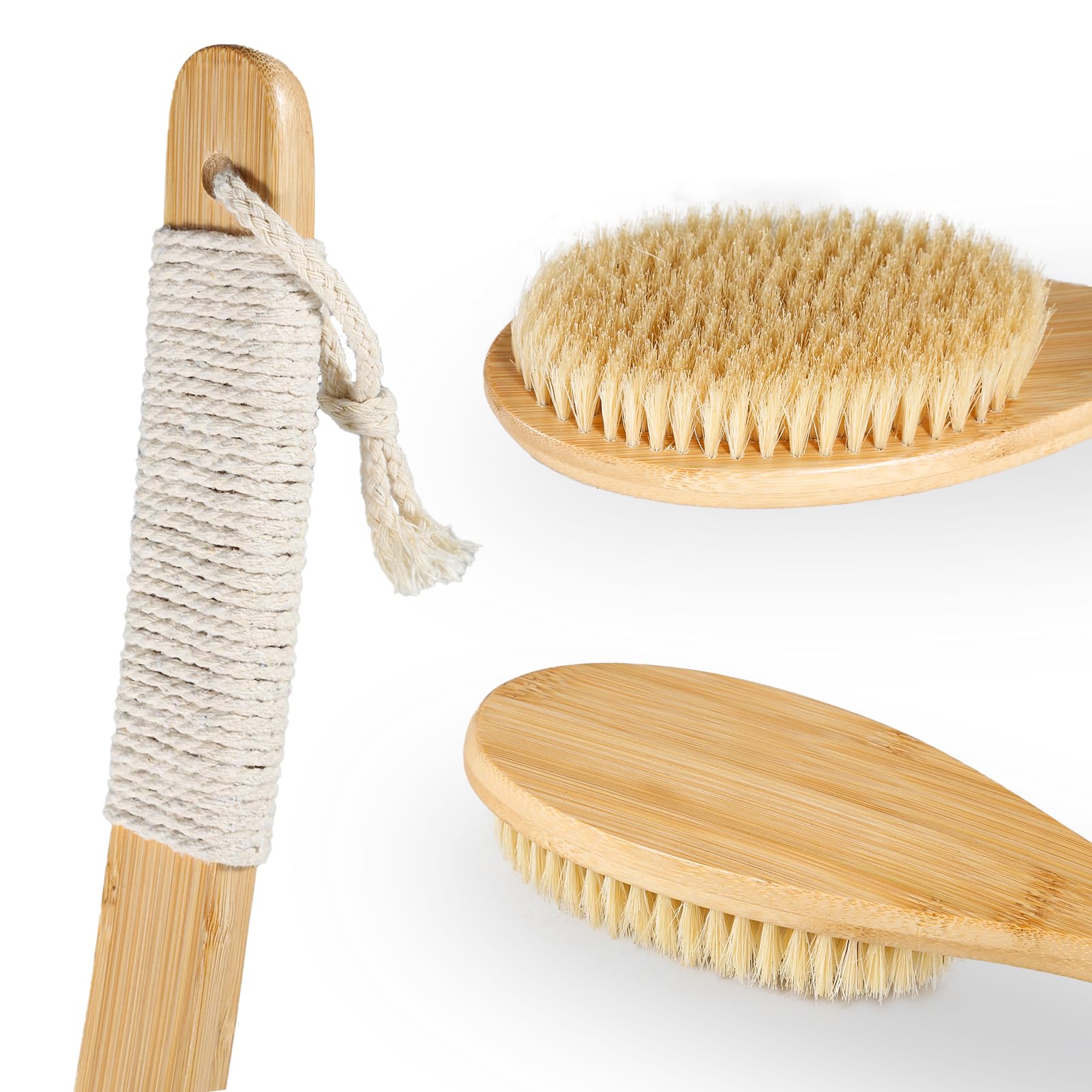 COINPOTIA diseño colgante práctico para duchas ordenadas y secado.