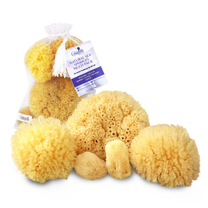 Constantia Beauty esponjas marinas multipack en bolsa premium para lavado facial suave.
