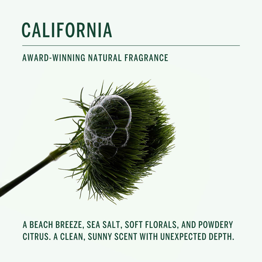 CORPUS Desodorante natural stick envase reciclable, opción ecológica y sostenible