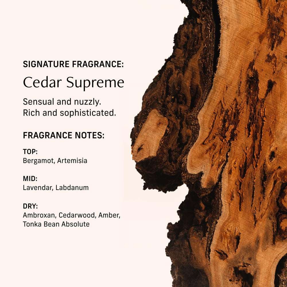 CYKLAR Aceite de perfume notas cedro tonka, aroma cálido