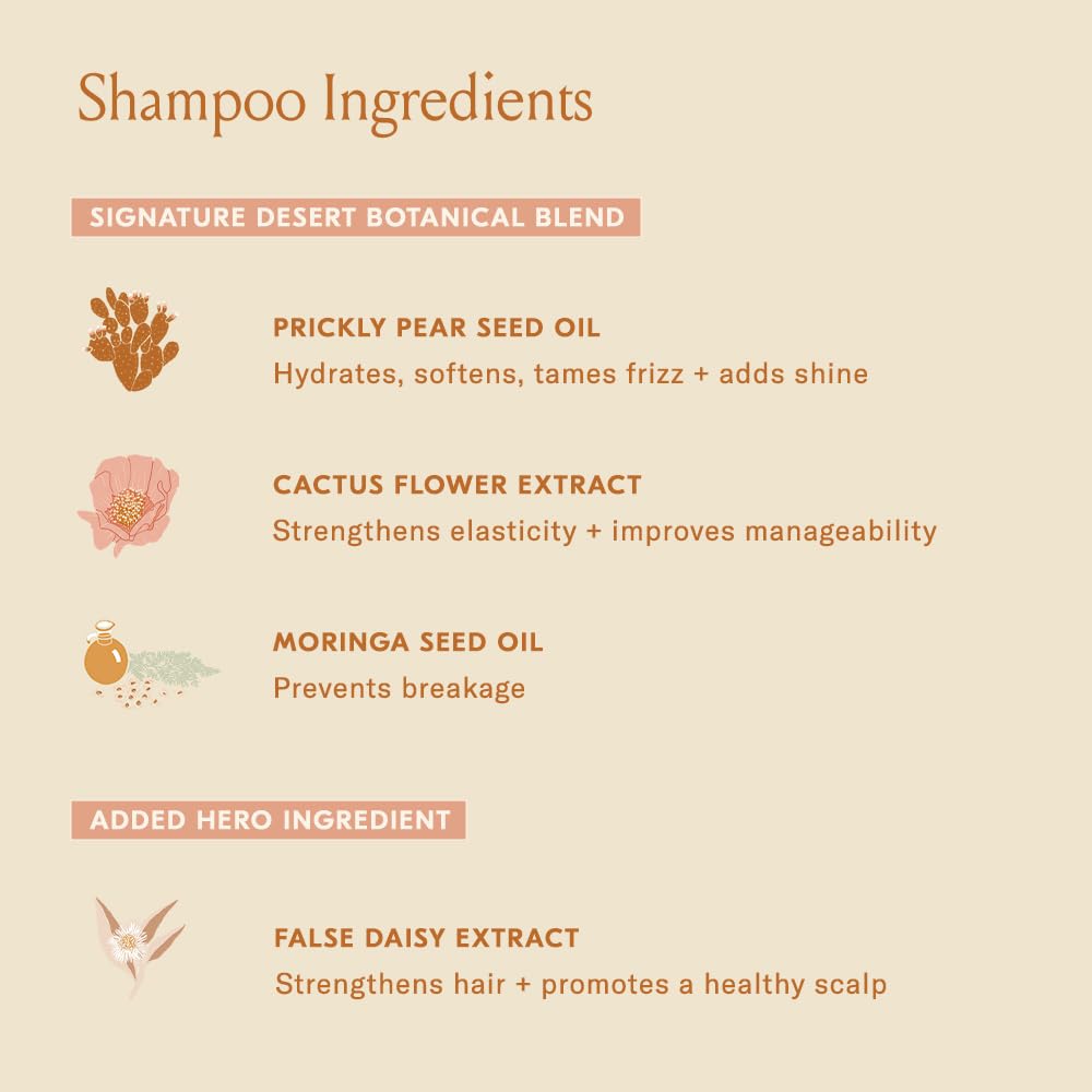 Champú DAE, aceite de moringa, ayuda a hidratar y reforzar fibras