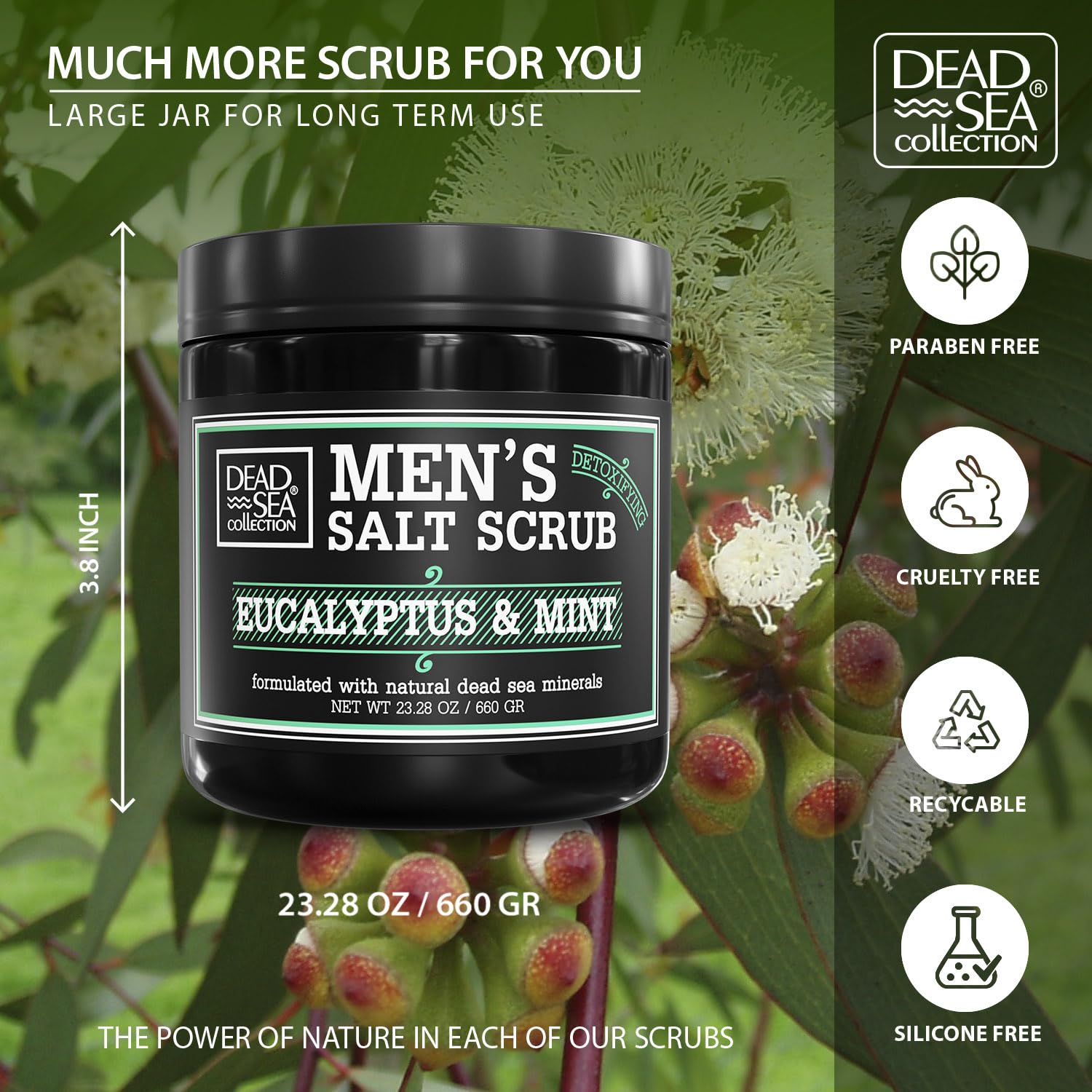 Dead Sea Collection etiqueta detallada, diseño claro para identificar beneficios.